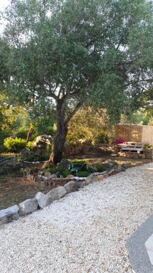 Casa Vacanze Olbia - Alebea - Экстерьер фото